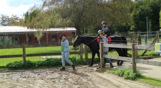 paardendag