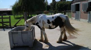 boerderijbezoek