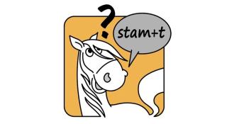 werkwoordandersleren